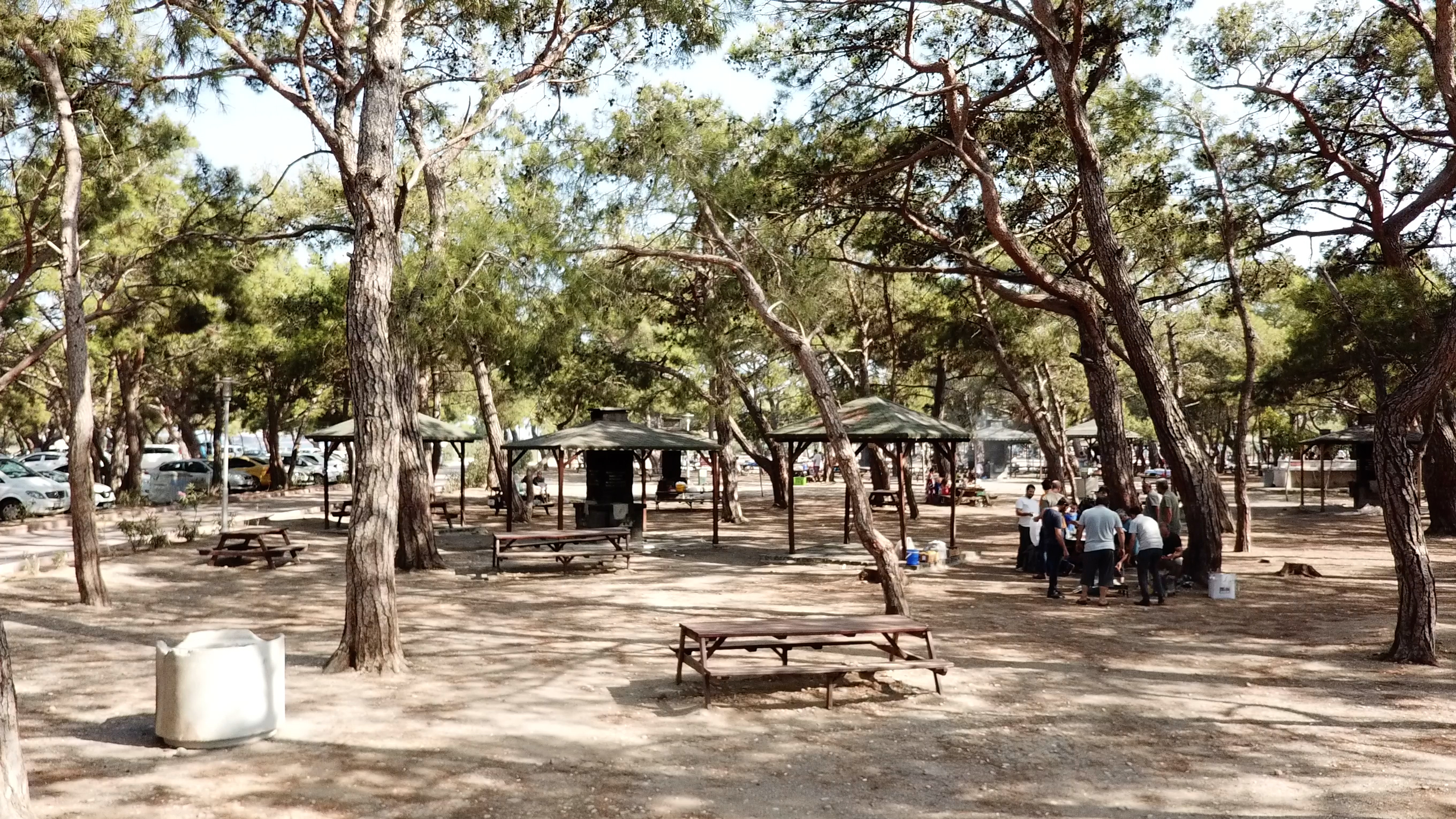 Sarısu Mesire Alanı ve Plajı